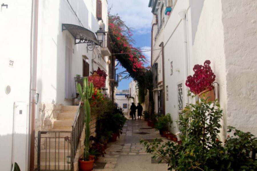 Itria Valley Van Tour: Beautiful villages in Puglia - Locorotondo: white houses, flowered terraces, and a calmer pace