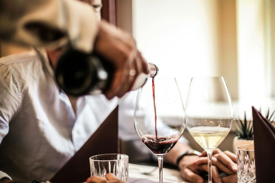 Matera: Exclusive Wine Tasting Experience with Food Pairings - The Four Wines: Tradition, Innovation, and Terroir—Translated