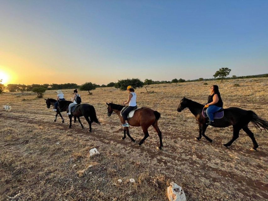 Matera: sunset horseback riding tour on Murgia - Key highlights you’ll care about