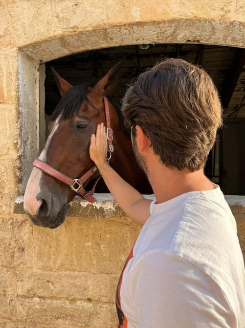 Matera: sunset horseback riding tour on Murgia - Why this Matera sunset ride feels different on your body and mind