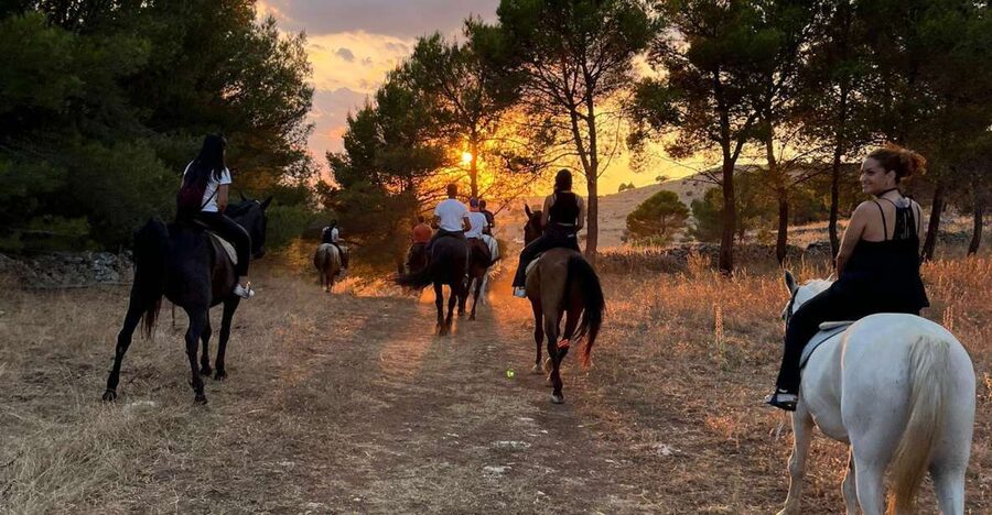 Matera: sunset horseback riding tour on Murgia - Price and value: what $100.82 buys you in real terms
