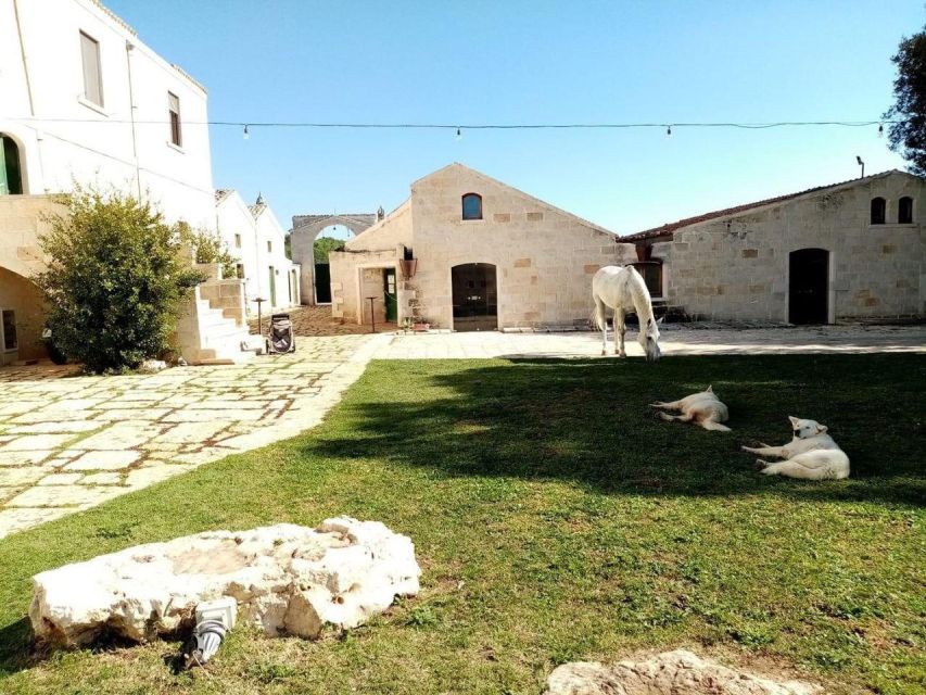 Matera: sunset horseback riding tour on Murgia - Who should book this Matera horse tour (and who should skip it)