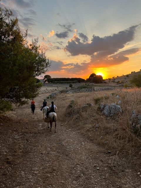 Matera: sunset horseback riding tour on Murgia - How the group experience stays calm (and why it matters)