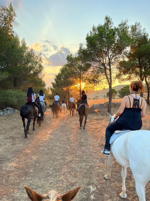 Matera: sunset horseback riding tour on Murgia - Where it starts: Masseria Morsara and your 15-minute arrival window
