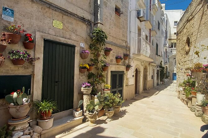 Monopoli City Walk Tour - Where You Start: Meeting Point, Timing, and the Walkable Vibe