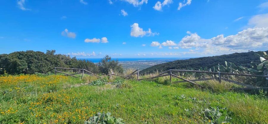 Monopoli: E-Bike Ride to Olive Valley with Seafood Snack - Contrade Roads: Dry-Stone Walls, Vineyards, and Real Puglia