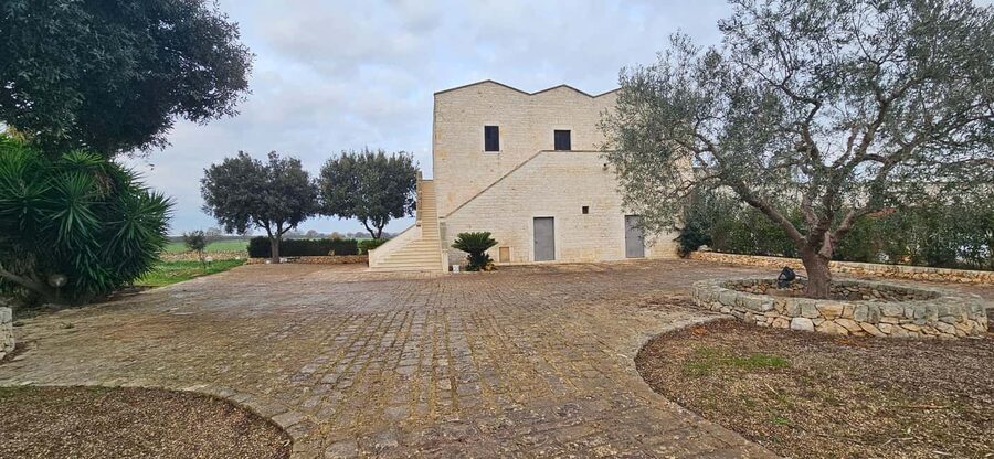 Monopoli: E-Bike Ride to Olive Valley with Seafood Snack - Valley of the Millenary Olive Trees: The Main Event