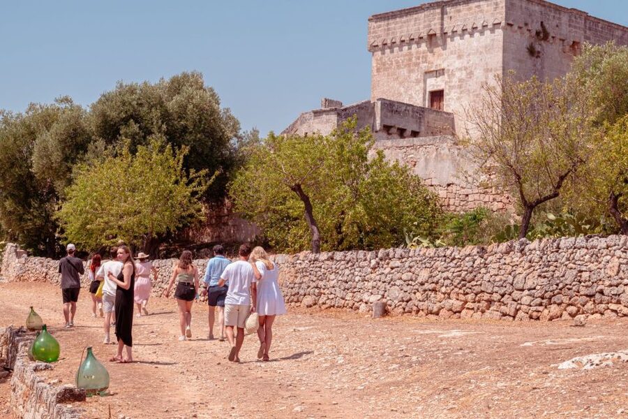 Monopoli: Parco Rurale Tour with Tasting of 3 Apulian Wines - The tasting: three Apulian wines with a sommelier