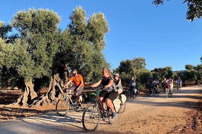 Monopoli's Countryside by Bike - Key highlights you’ll care about