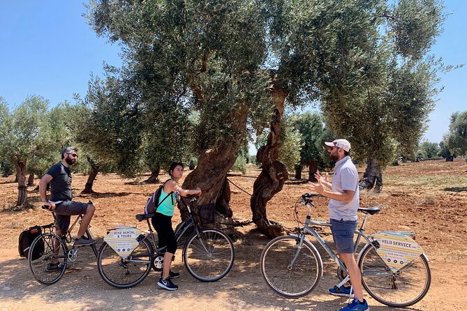 Monopoli's Countryside by Bike - What Makes This Tour Better Than Just Riding Between Stops