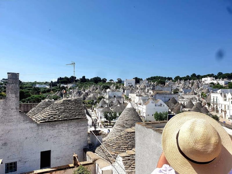Ostuni: Alberobello, Locorotondo, Ostuni & Apulian brunch - Olive oil tasting: why it’s more than a sip