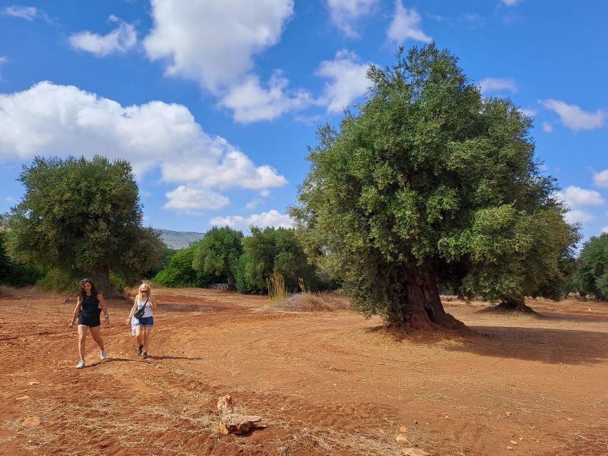 Ostuni: Guided e-bike tour + countryside tasting stop - Starting at Via Antonio Specchia: how the tour sets you up fast