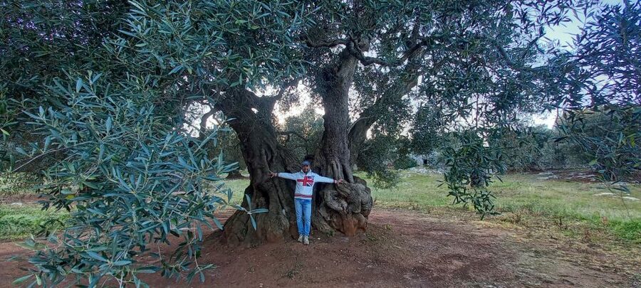 Ostuni: Guided e-bike tour + countryside tasting stop - The 2 km hill walk for panoramic views (and better photos)