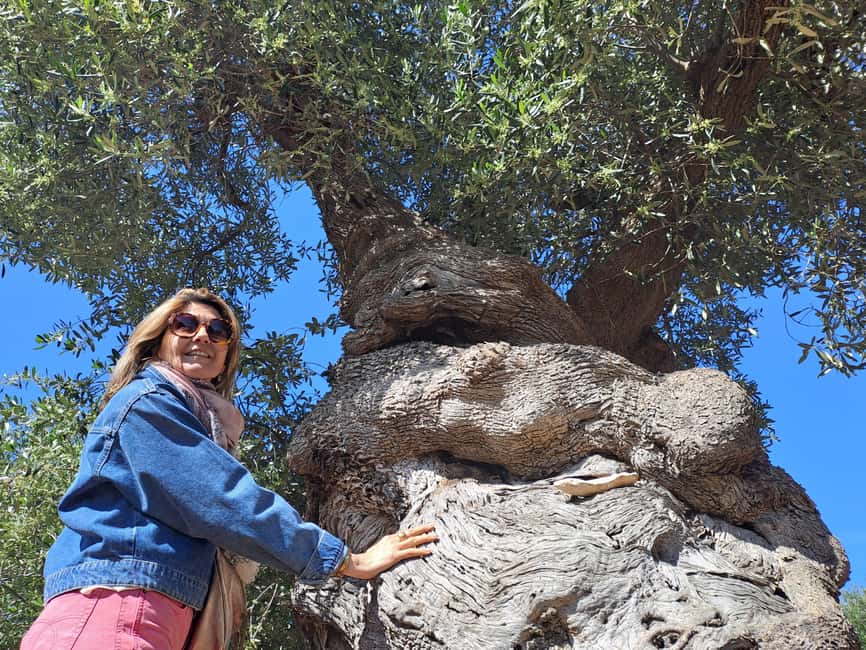 Ostuni: Guided e-bike tour to rock village & olive trees - Key highlights to look forward to