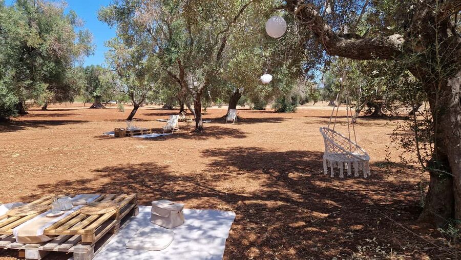 Ostuni: San Vito dei Normani: Organic Picnic in Olive Grove - Where You Meet: Finding the Olive Grove Without Stress