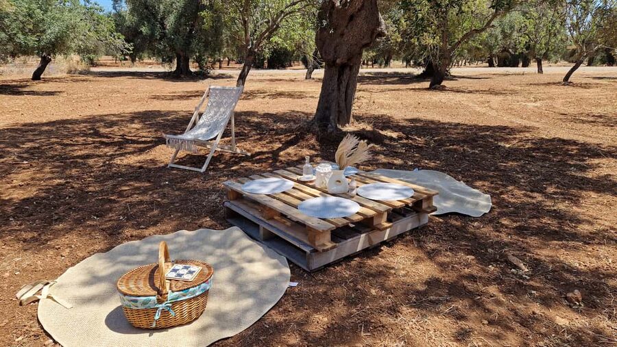 Ostuni: San Vito dei Normani: Organic Picnic in Olive Grove - The Organic Food Spread: What You’re Really Paying For
