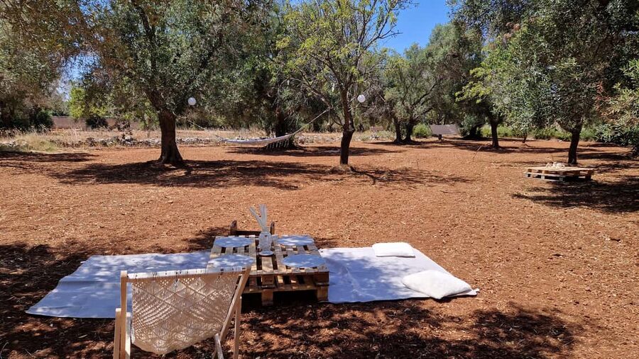 Ostuni: San Vito dei Normani: Organic Picnic in Olive Grove - How the 3 Hours Unfold: Games, Quiet Time, and Easy Fun