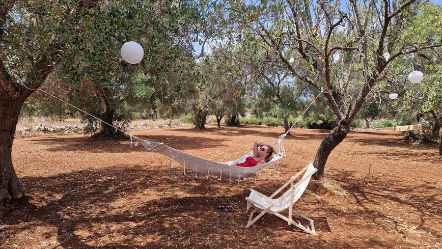 Ostuni: San Vito dei Normani: Organic Picnic in Olive Grove - Price and Value: Is $88 Worth It for Apulia?