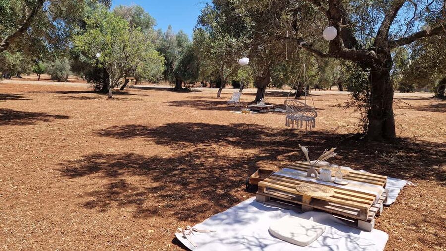 Ostuni: San Vito dei Normani: Organic Picnic in Olive Grove - Boho Setup Under Olive Trees: The Real Point of This Picnic