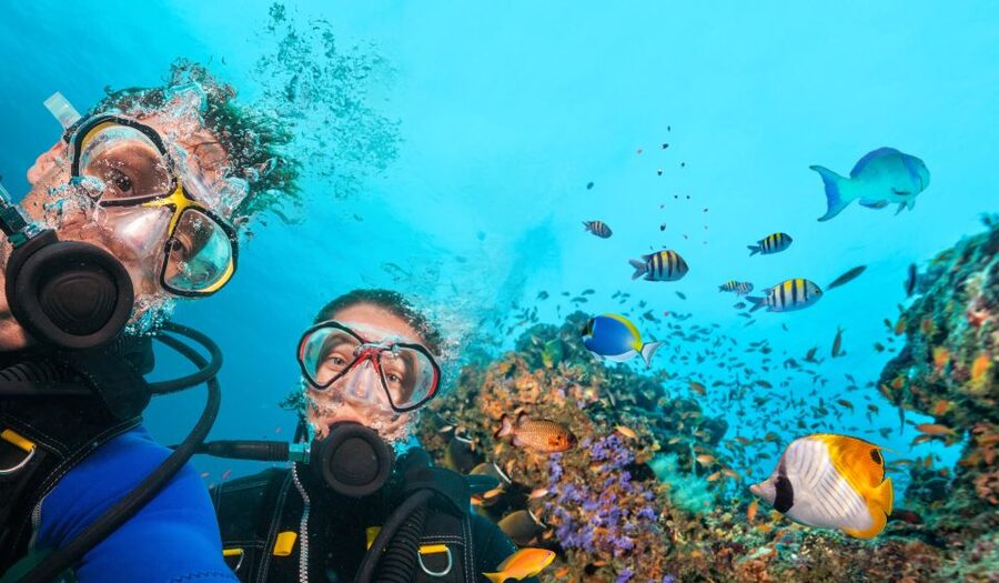 Polignano a Mare: Scuba Experience with certification - What your 2-hour underwater session feels like