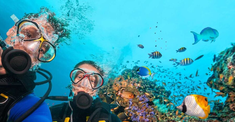 Polignano a Mare: Scuba Experience with certification - The underwater setting: seabed, sun rays, and fish