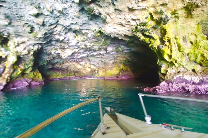 POLIGNANO BY BOAT: amazing sea caves and free drinks! - The Eremita islet and the sea-eagle legend vibe