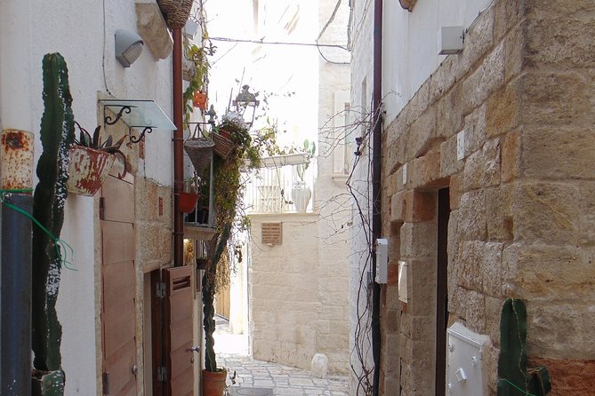 Private tour in Polignano a Mare: overlooking the sea - Marchesale Arch and the Old Walls: Getting the Story Before the Sea