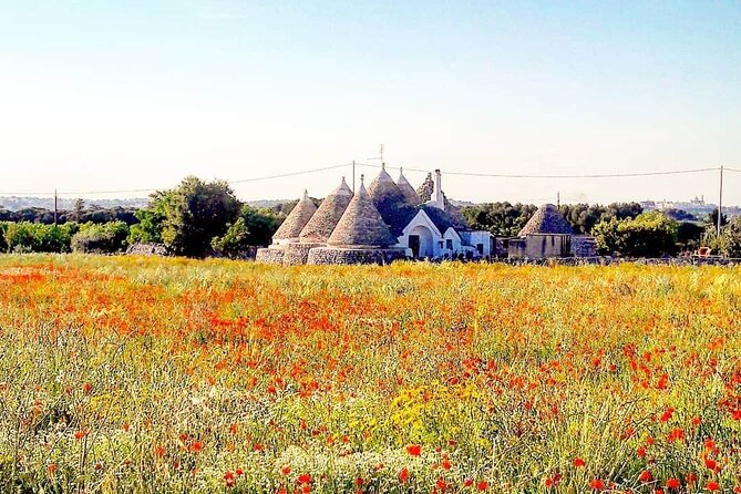 Puglia Full-Day Tour: Bari, Trulli of Alberobello, Castel del Monte and Sassi of Matera - Alberobello Trulli: Pointed Roofs, Real Village Streets, Limited Time