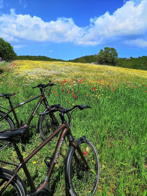 Riding to Alberobello and countryside with E-Bike - Riding a high-end Giant e-bike through Apulia’s quiet lanes