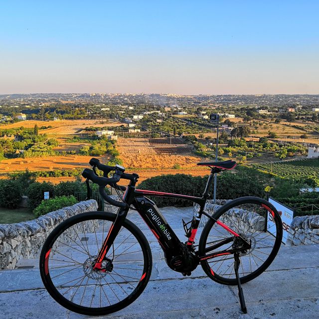 Riding to Alberobello and countryside with E-Bike - The countryside stretch: vineyards, olive groves, and long views