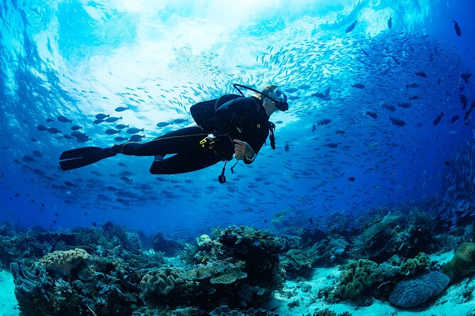 Sea Baptism Scuba Experience in Polignano a Mare - Key Highlights at a Glance