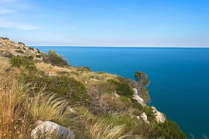 Small Group Half Day Tour of POLIGNANO a MARE and MONOPOLI - Small-group half-day from Bari: what you actually get in 5–6 hours