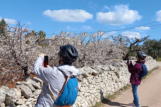 Tour Ebike Trulli Alberobello - How this e-bike route makes Alberobello feel doable