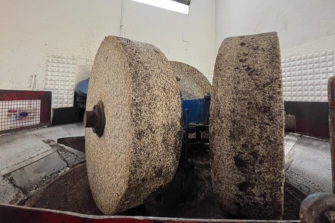 Tour of the oil mill with tasting - Key highlights you’ll care about