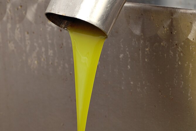 Tour of the oil mill with tasting - Stop 2: Inside the oil mill for the traditional cold-press process