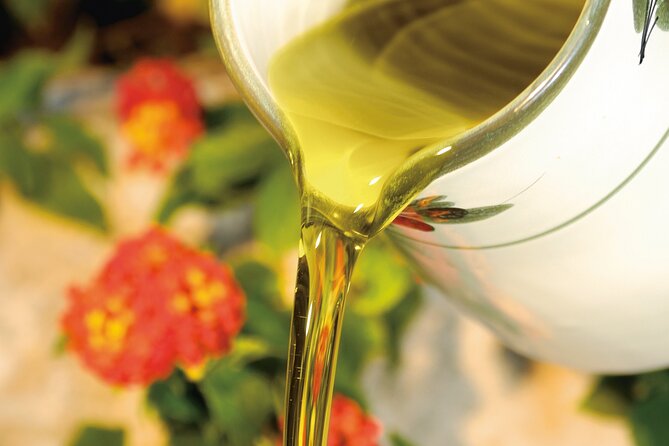 Tour of the oil mill with tasting - What you’ll learn about harvesting, varieties, and why it matters