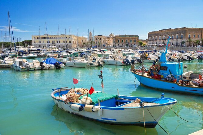 TRANI and Castel Del Monte UNESCO from your accomodation - Key highlights worth planning for