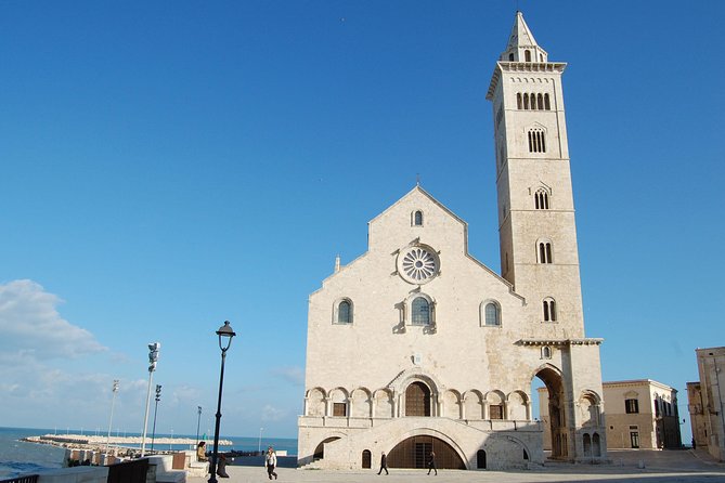 Trani Private Tour: a piece of art overlooking the Adriatic sea - Trani’s medieval highlights, in a simple on-foot loop