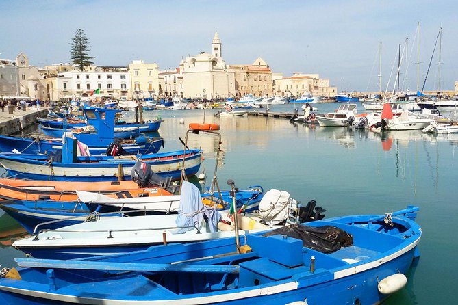 Trani Private Tour: a piece of art overlooking the Adriatic sea - Stop 2: Castello di Trani (about 30 minutes, ticketed)