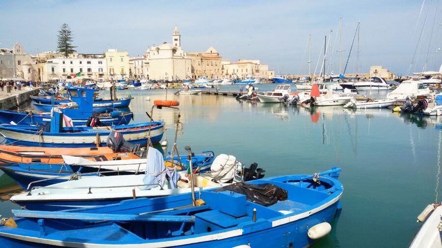 Trani: Private Walking Tour - Key points I’d plan around