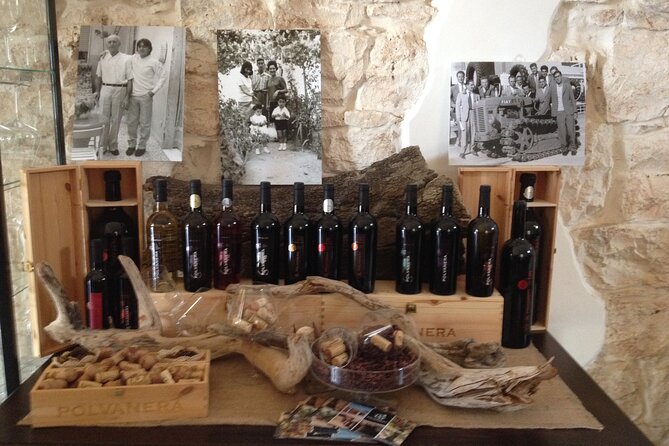 Trani: Wine tasting & Light Lunch in a Vineyard - From Bari to Trani: how the day stays easy