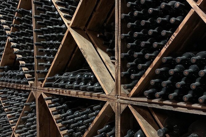 Trani: Wine tasting & Light Lunch in a Vineyard - Who should book this Trani wine tasting (and who might skip it)