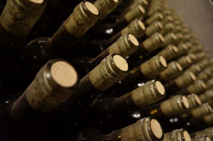 Valle d’Itria: Luxury Wine Tasting Experience - Your 1.5-hour flow: welcome, room vs terrace, and a guided tasting