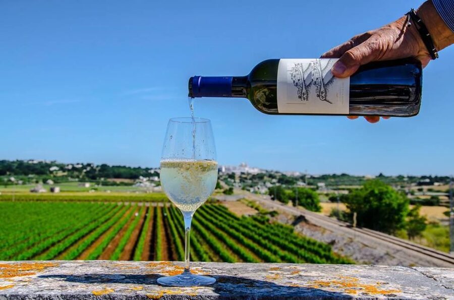Valle d’Itria: Luxury Wine Tasting Experience - FAQ