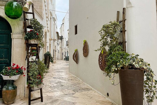 Valle d'Itria Tour: Polignano, Ostuni e Locorotondo, da Bari - Walking, Food Breaks, and Comfort on a Full Day
