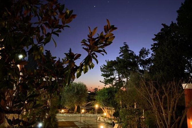 Vegan Charme: Typical Dinner with a Local in Monopoli - Price and Value: Is $149.77 Worth It?