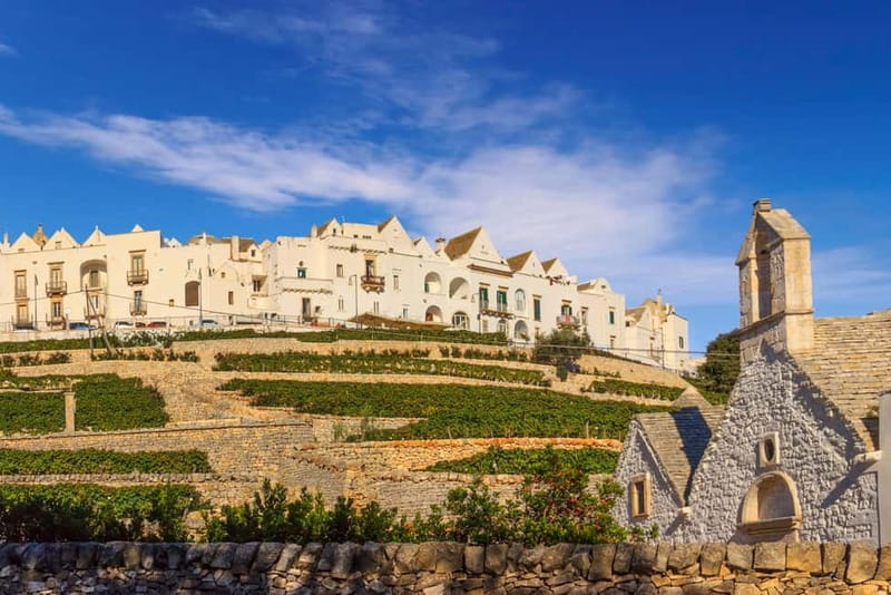 Vespa scenic tour: Trulli and Countryside with tastings in Itria Valley - Locorotondo’s white streets: guided visit and typical product tasting