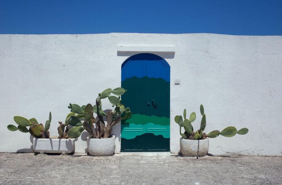 Visit Ostuni, Locorotondo & Polignano: Private or Group tour - Who This Tour Suits Best (And Who Should Think Twice)