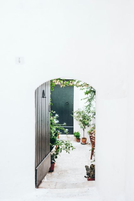 Visit Ostuni, Locorotondo & Polignano: Private or Group tour - Ostuni’s White Hills: Why the White City Captures People Fast