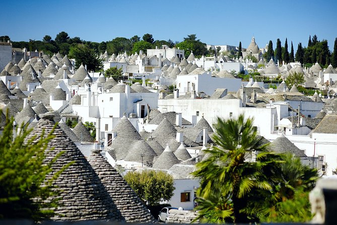 Visita guidata dei Trulli di Alberobello - Where This Trulli Tour Works Best in Your Day